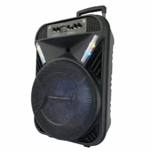 Bocina Bluetooth de 15"