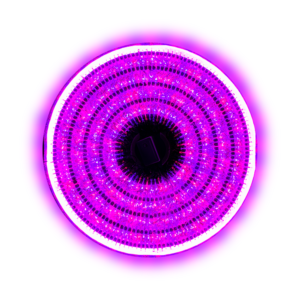Serie de 300 Focos LED Morado a Rosa
