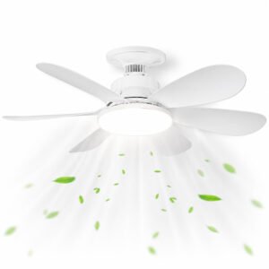 Ventilador de Techo con Luz 30W